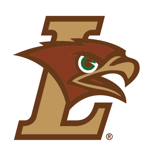 Mountain Hawks logo