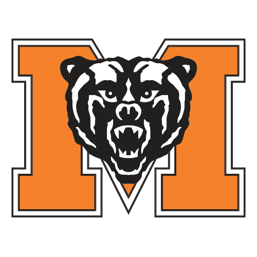 Bears logo