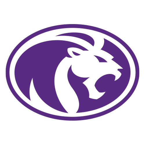 Lions logo