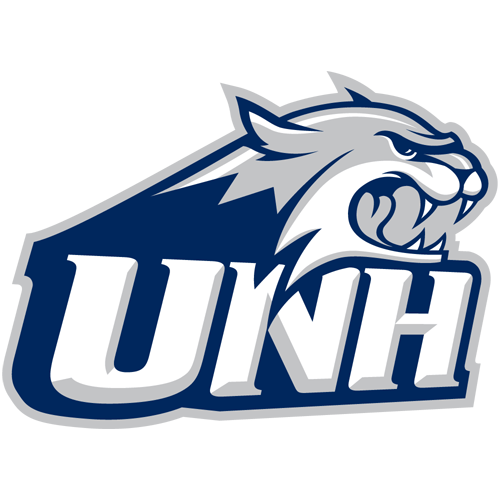 Wildcats logo