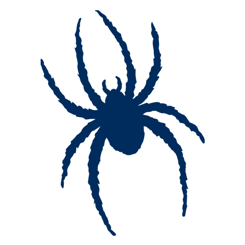 Spiders logo