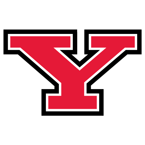 Penguins logo