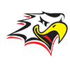 Vaasan Sport logo