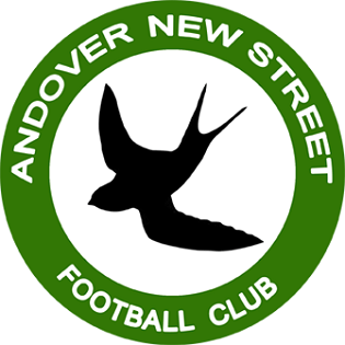 Sholing FC vs. Andover New Street FC