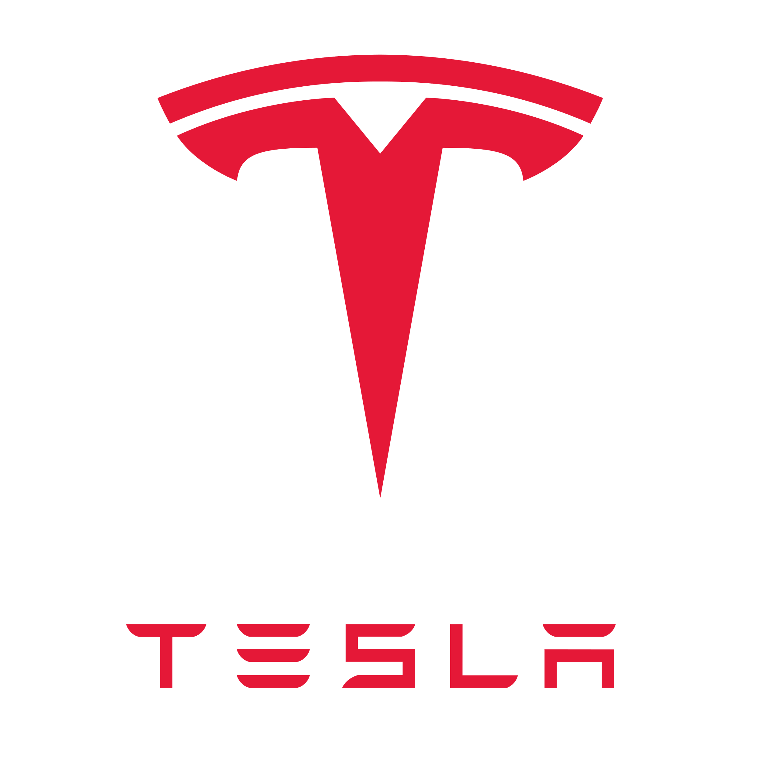Another Tesla recall before July?