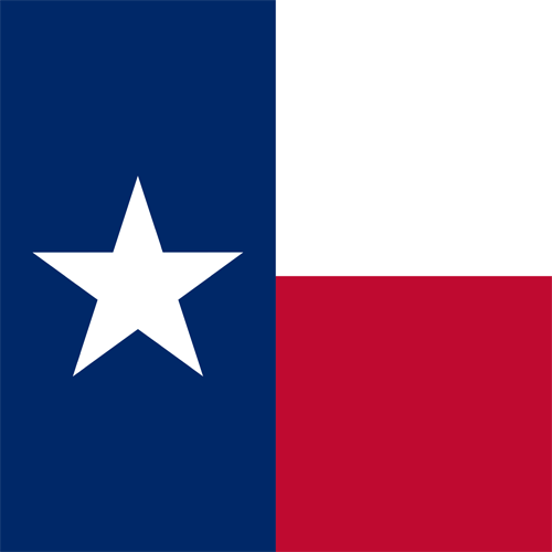 Texas Presidential Election Winner