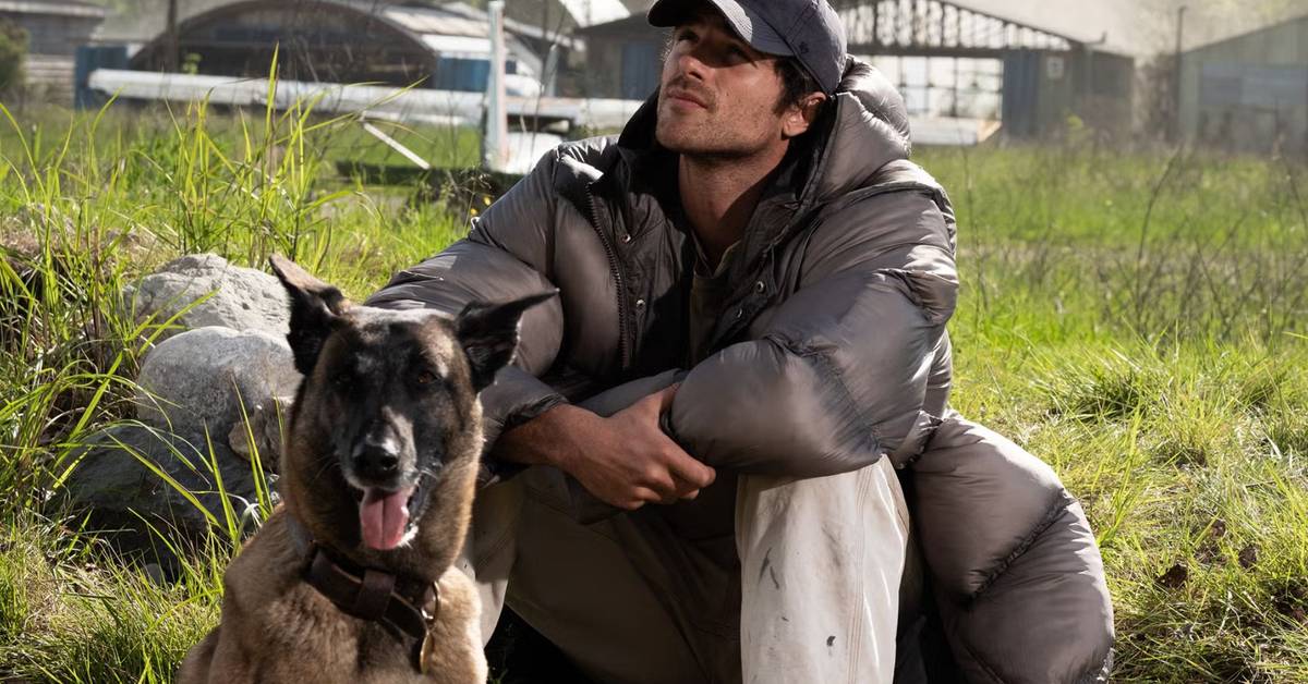 "The Dog Stars" Rotten Tomatoes Score?