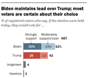 The Trump-Biden presidential contest