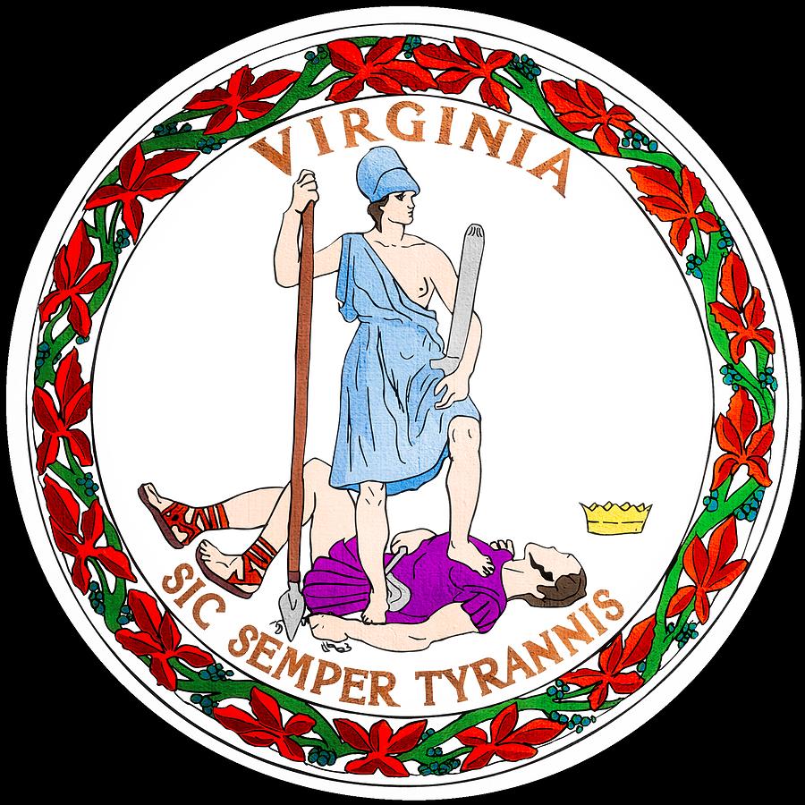 VA-5 Republican Primary Winner