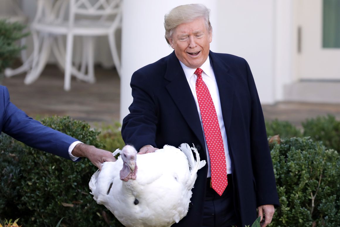 Which turkey will Trump pardon?