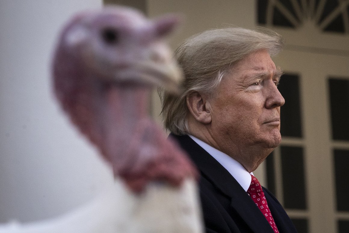 Will a turkey audibly gobble during the Thanksgiving Turkey Pardon on Tuesday?