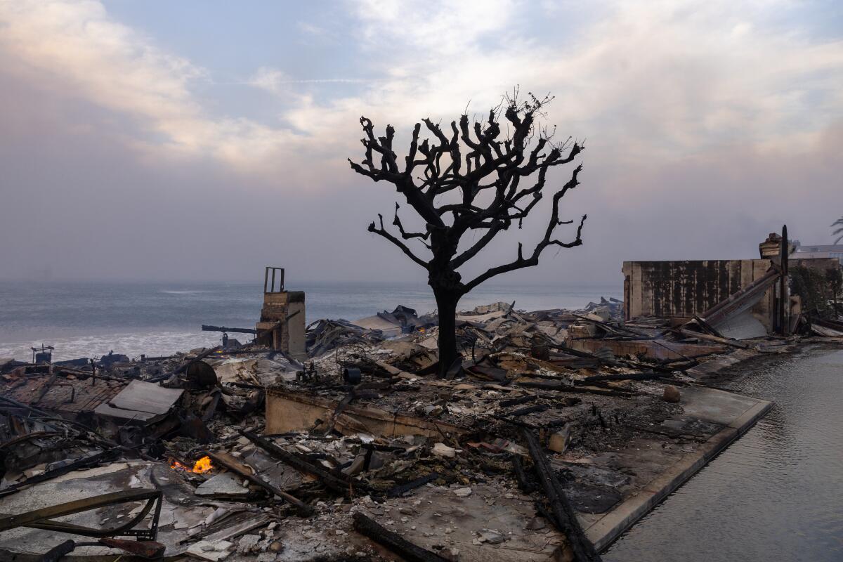 Will all LA wildfires be fully contained before February?