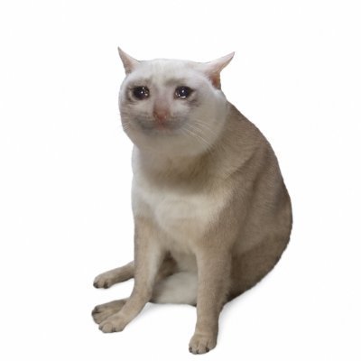 Cash Cat (CASHCAT)