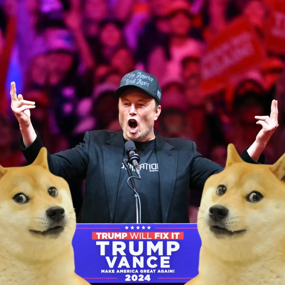 Will DOGE hit 69¢ by Inauguration Day?