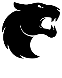 Will FURIA Make a Roster Change before September?