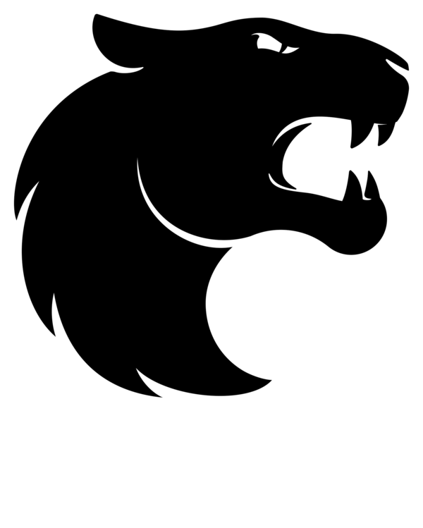 FURIA