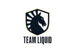 Liquid