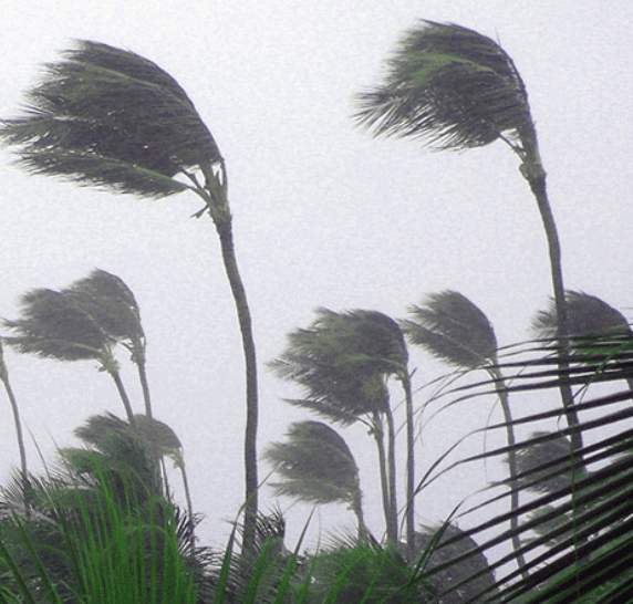 Will Super Typhoon Dolphin make landfall at Category 4 strength or higher?