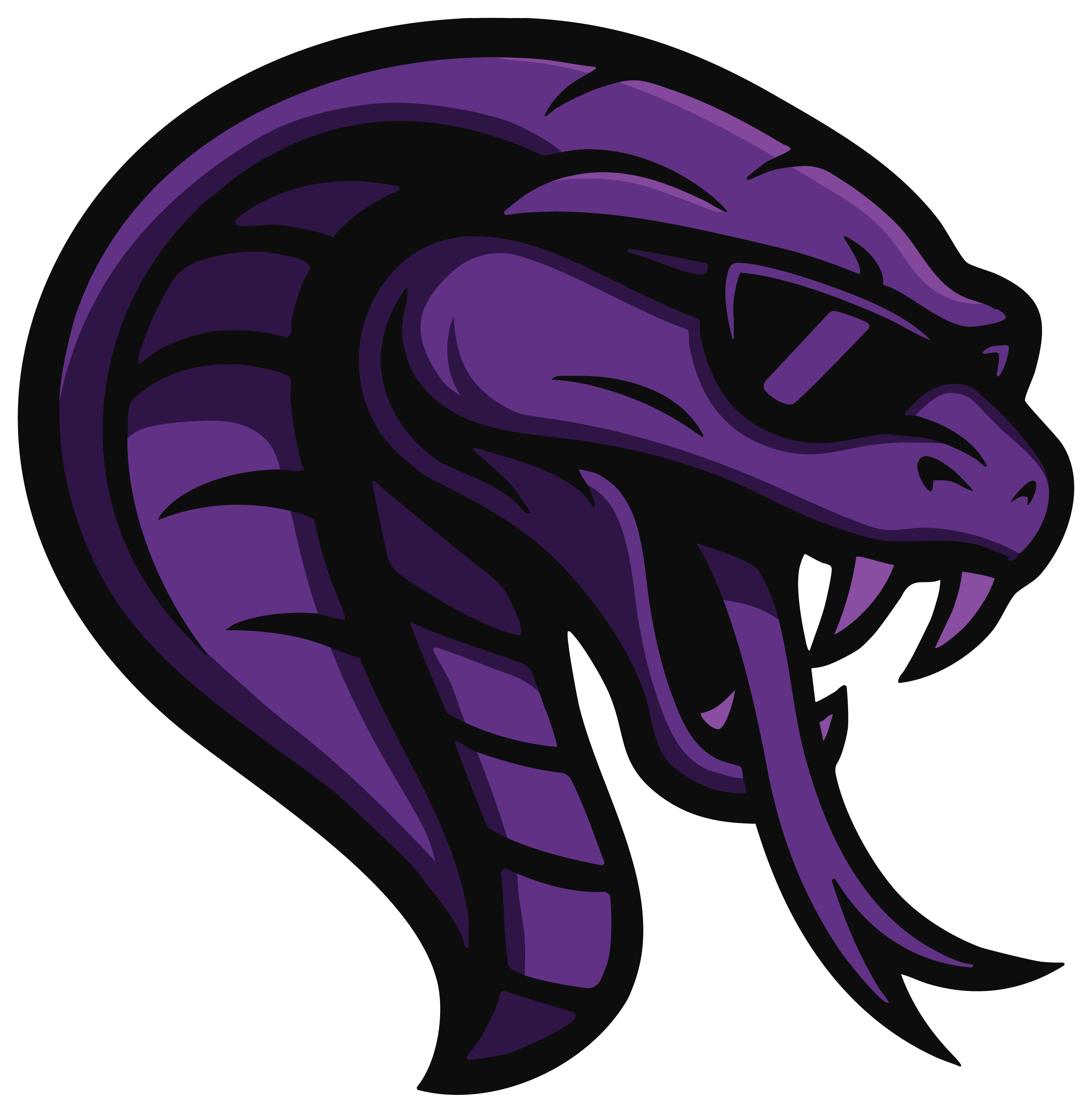 Team Cobra