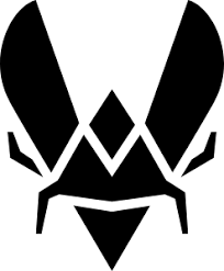 Will Team Vitality Make a Roster Change before September?