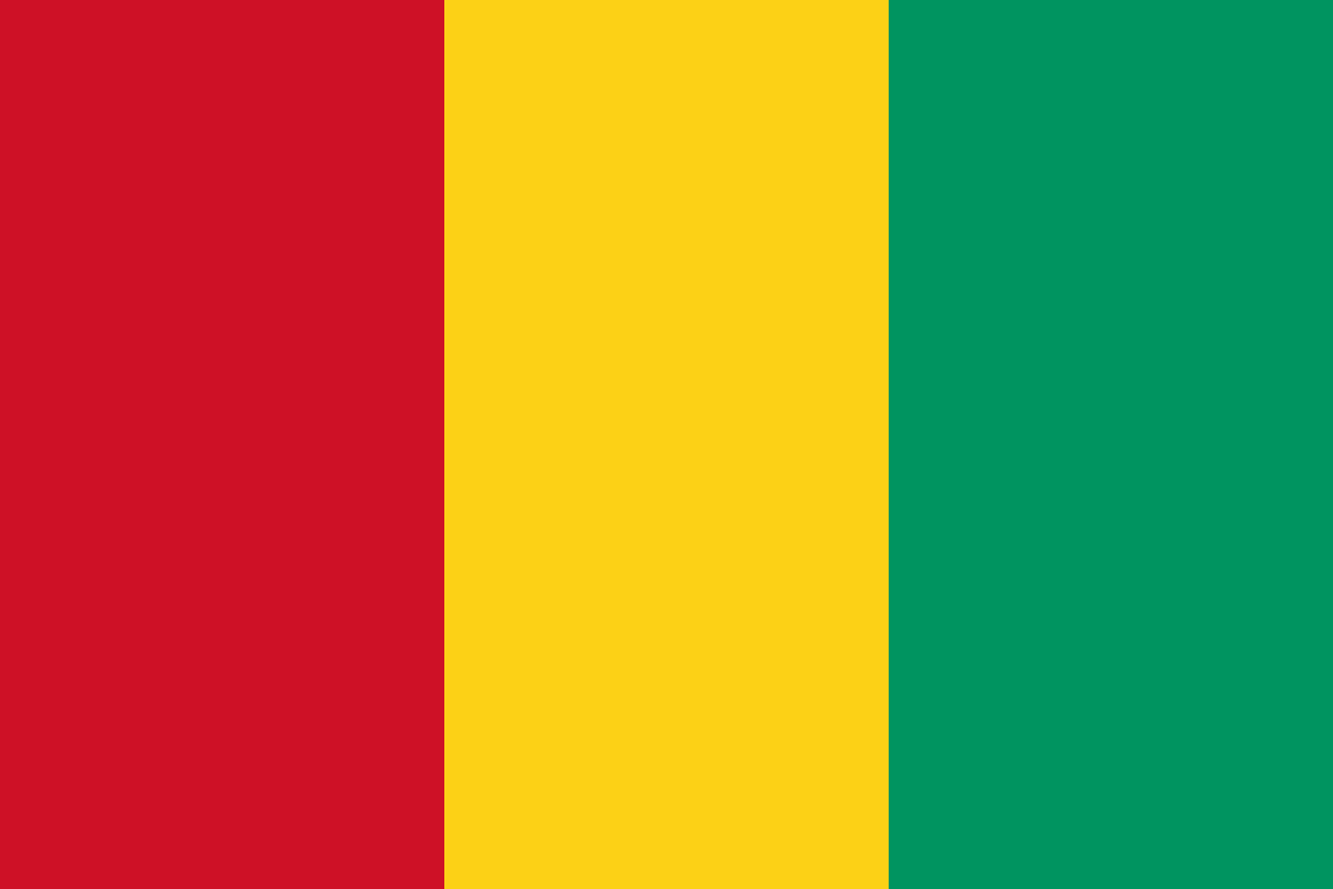Will the 2025 Guinea referendum pass?