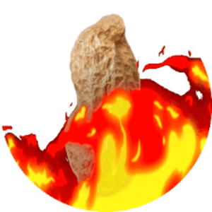 TheBurntPeanut