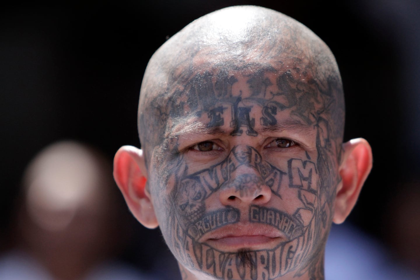 Will Trump designate cartels as terrorists before March?