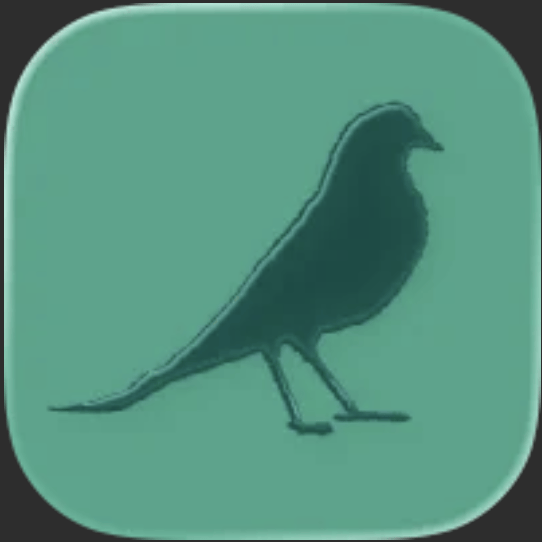Wildwood: Follow The Crows
