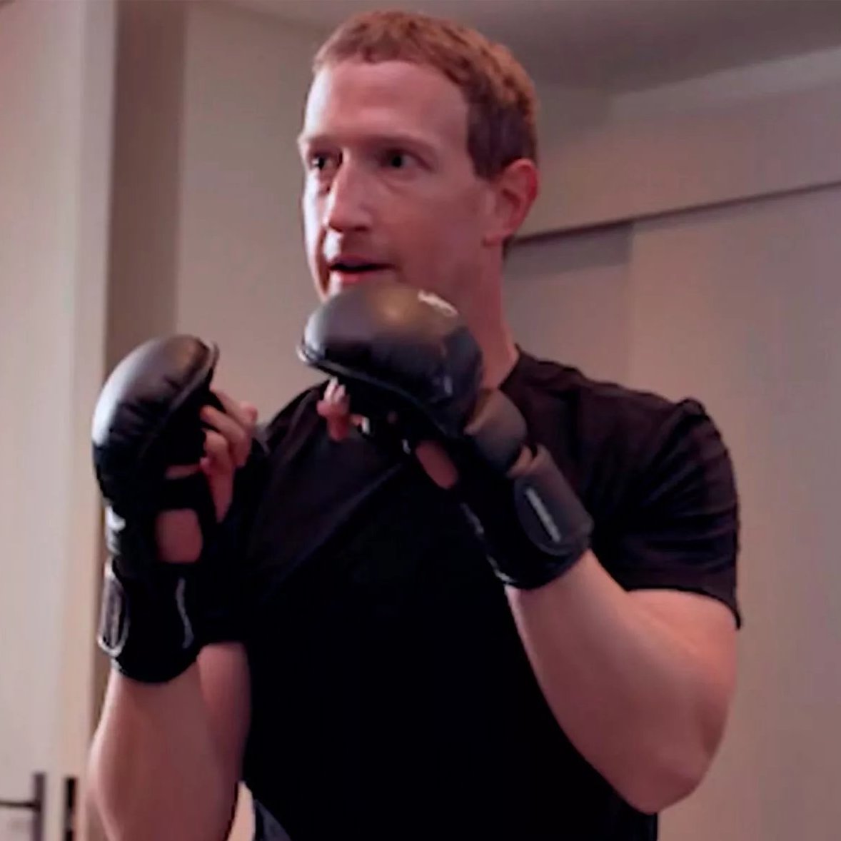 Will Zuck KO Musk?